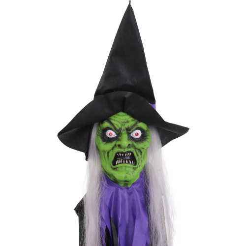 Haunted Hill Farm HHWITCH-39HLS - 10